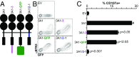 Fig. 3.