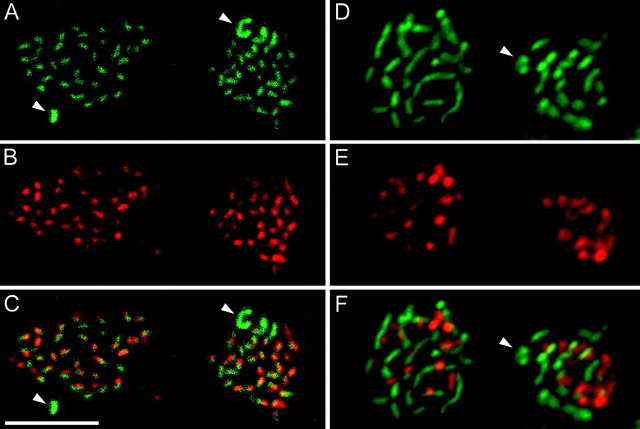 Fig. 10.