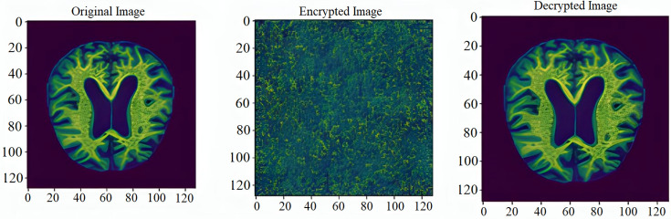 Figure 10