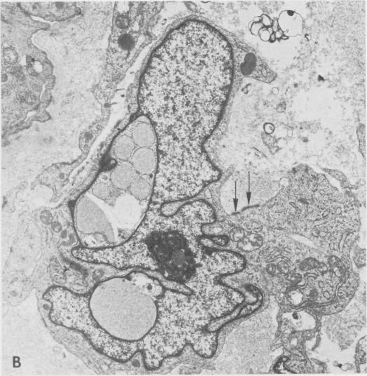 Fig. 5B.