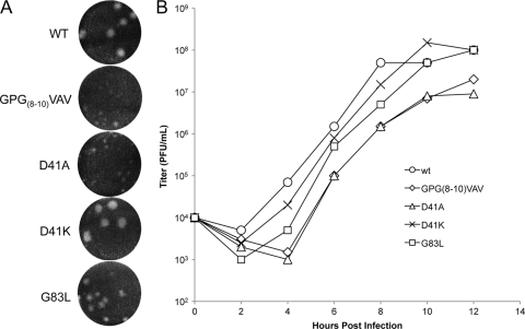 FIG. 2.