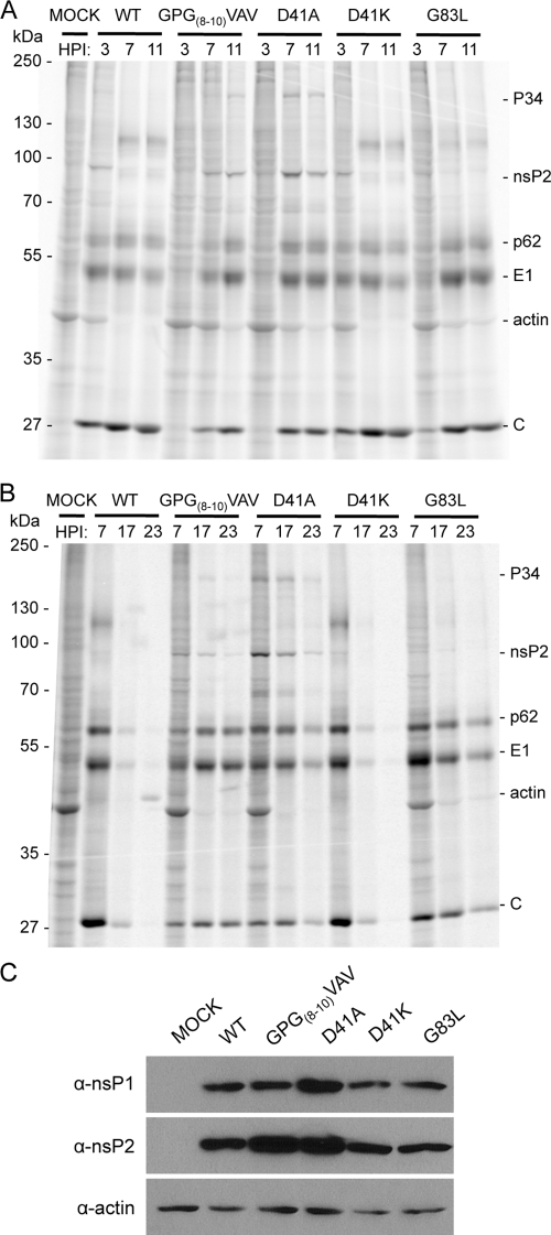 FIG. 5.