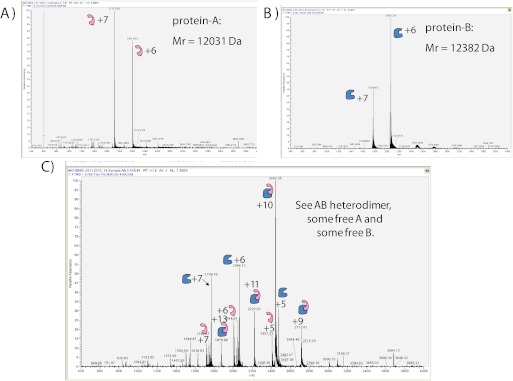 FIGURE 11