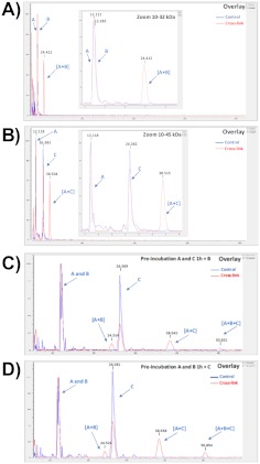 FIGURE 12