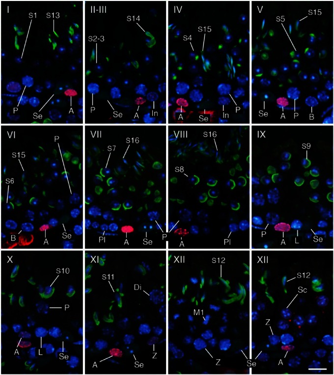 Figure 4.