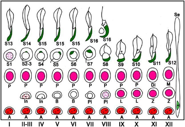 Figure 6.