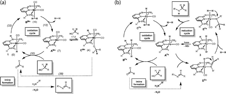 Scheme 3