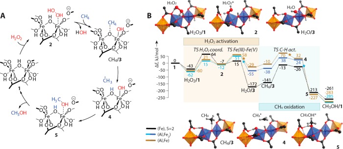 Figure 20