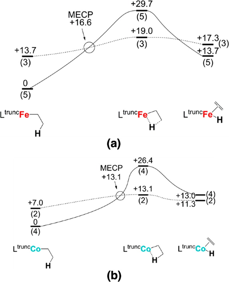 Figure 31