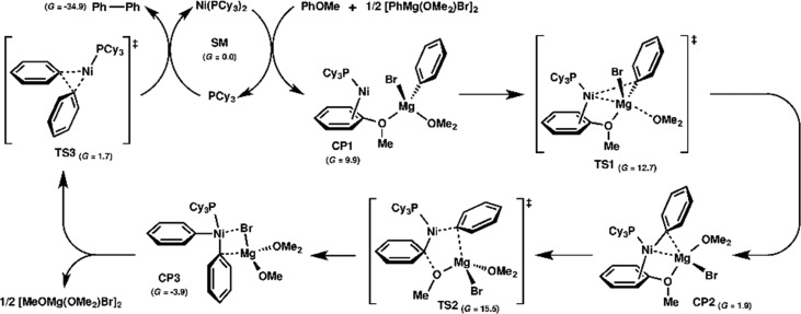 Figure 35