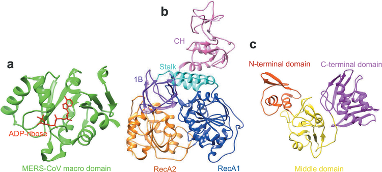 Figure 5.