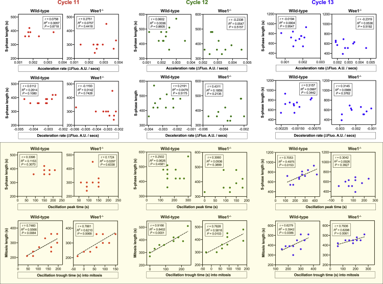 Figure 6