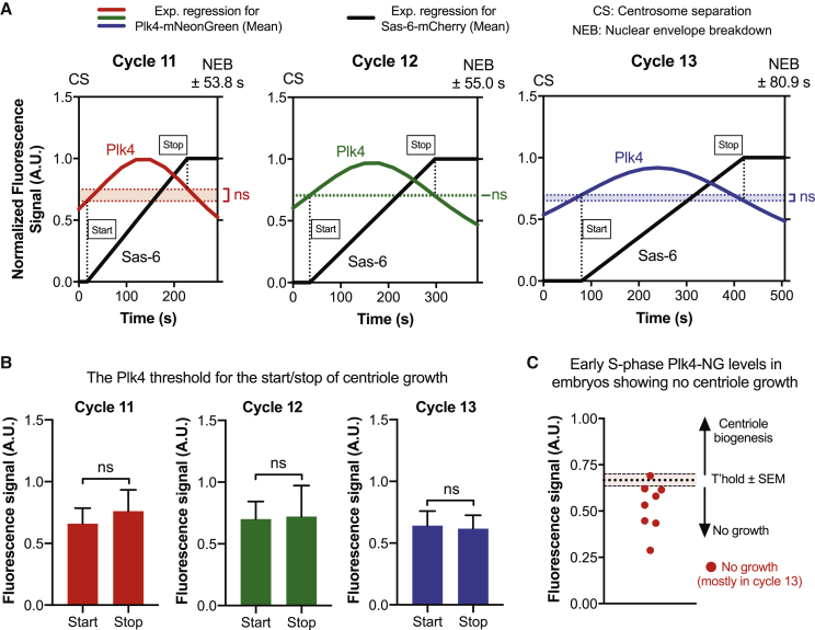 Figure 2