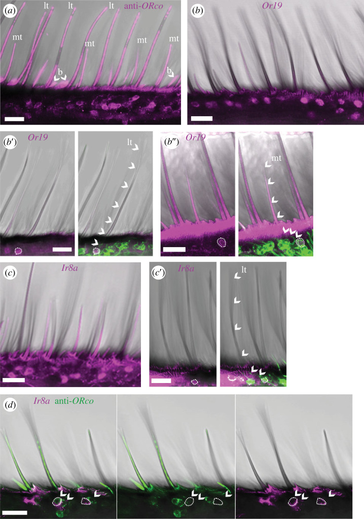 Figure 3. 