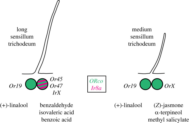 Figure 4. 