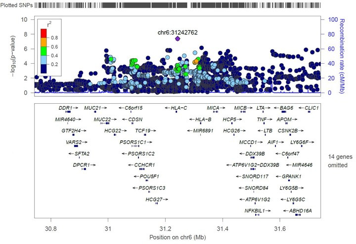 The image shows a Manhattan plot displaying genetic association data on chromosome 6, highlighting significant loci with p-values and recombination rates. Gene annotations indicate nearby genomic regions of interest.