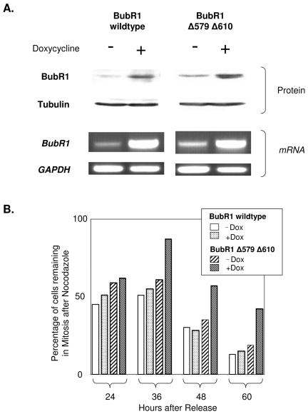 FIG. 8.