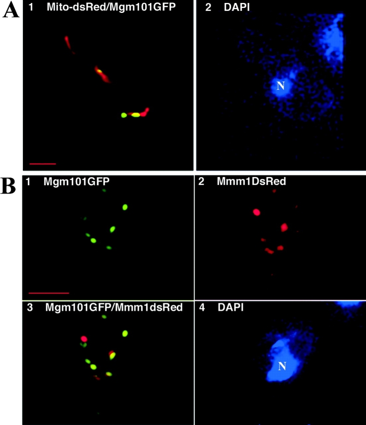 Figure 3.