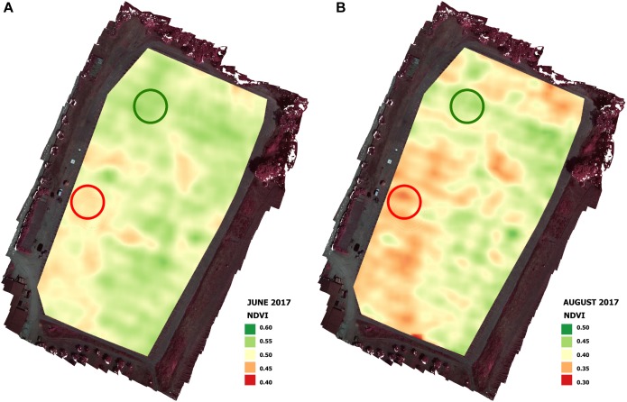 FIGURE 4