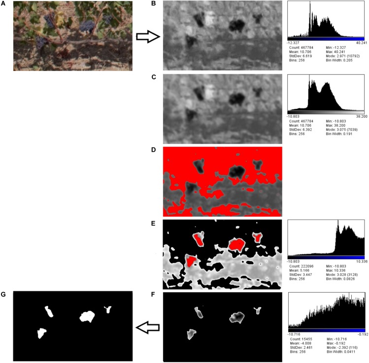 FIGURE 3