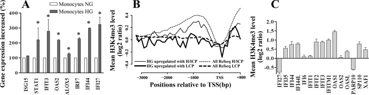 Fig. 8.