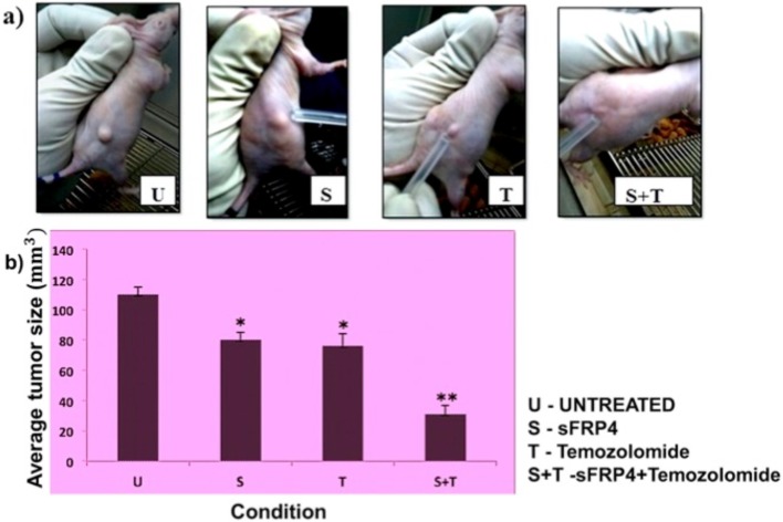 Fig 10