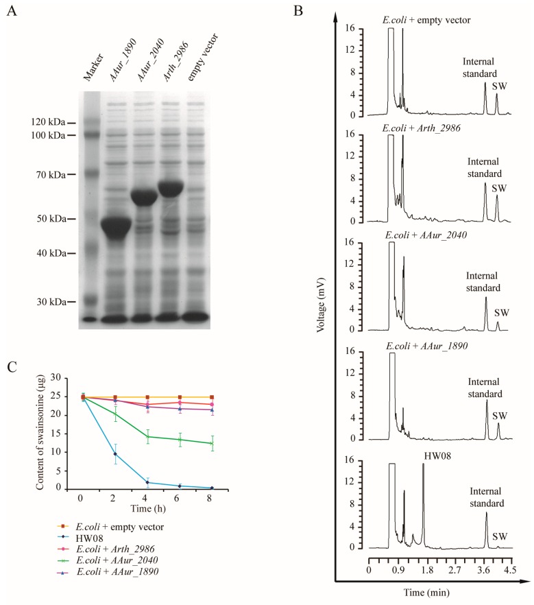 Figure 5