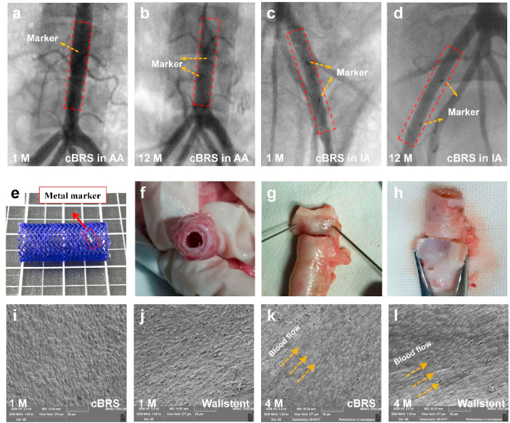 Fig. 7