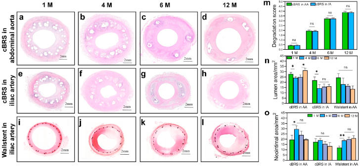 Fig. 8