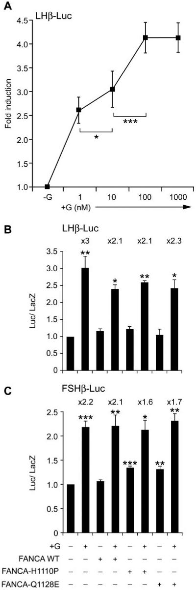 FIG. 7