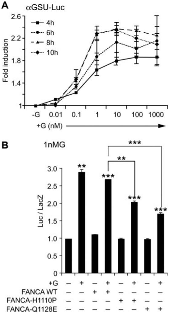 FIG. 8