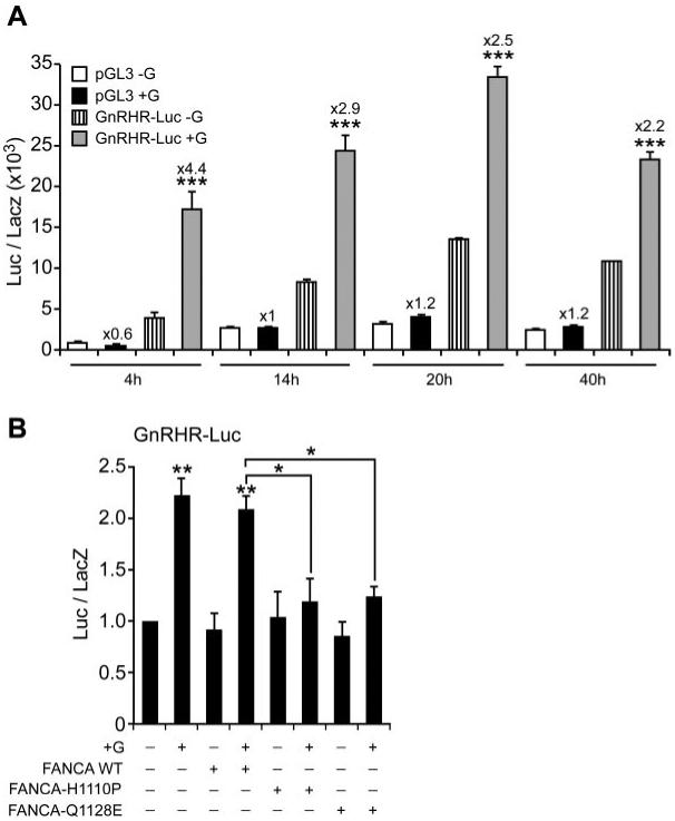 FIG. 9