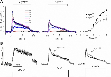 Fig. 10.