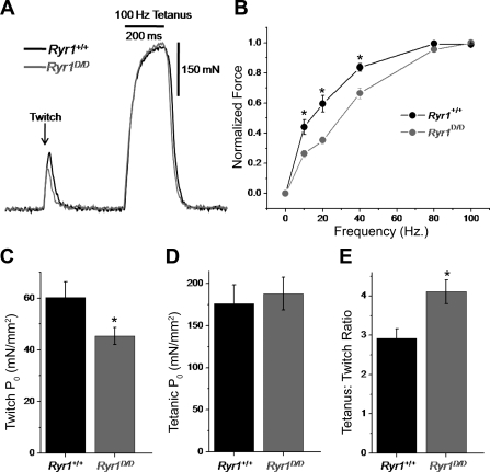 Fig. 11.