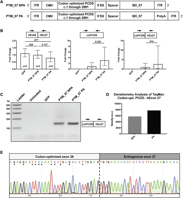 Figure 3