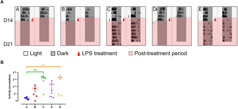 FIGURE 4