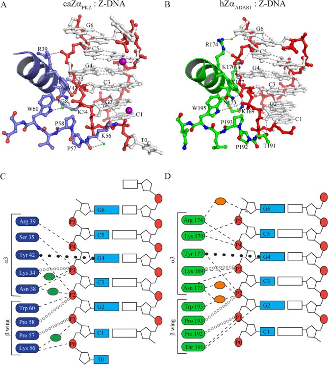 Figure 2.