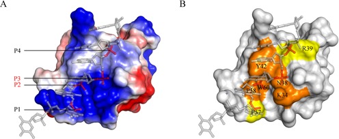 Figure 4.