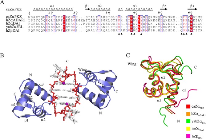 Figure 1.