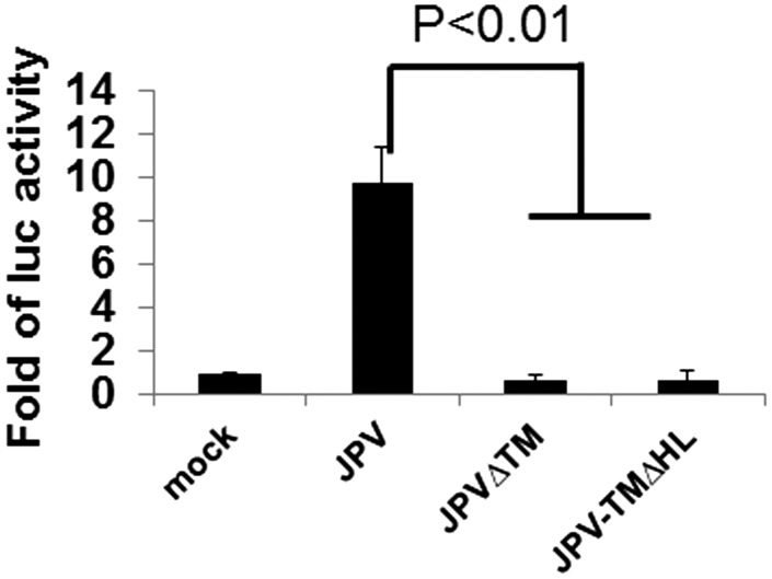 Fig. 6.