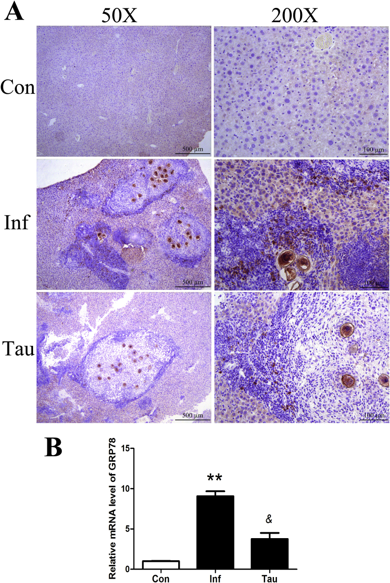 Fig. 7