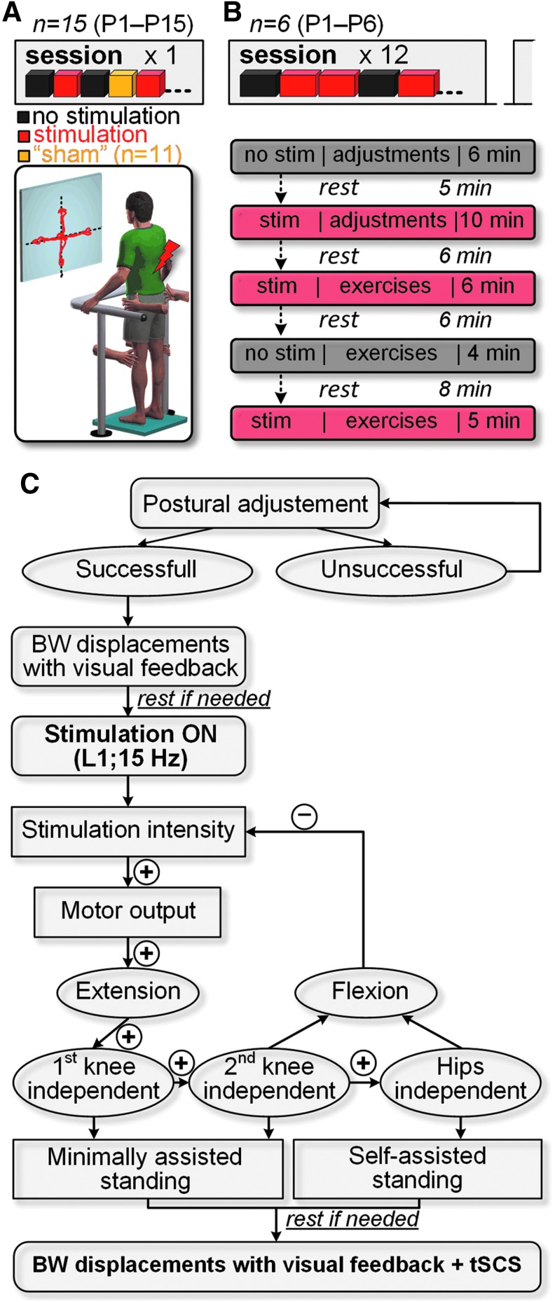 FIG. 1.