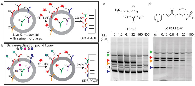 Fig. 1