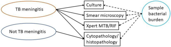 Fig. 1 (abstract 55).