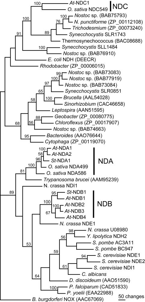 Figure 2.