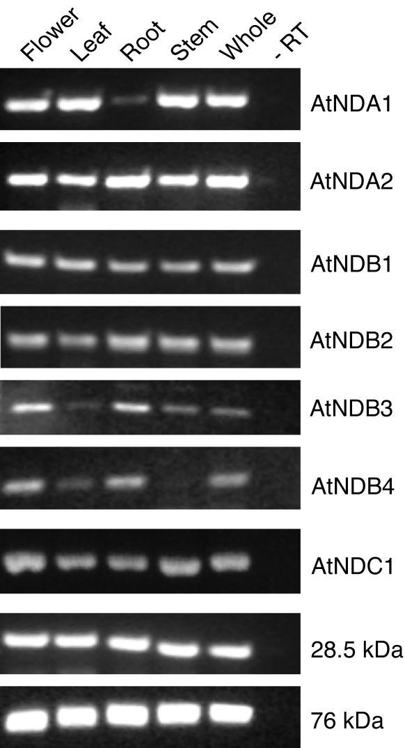 Figure 6.