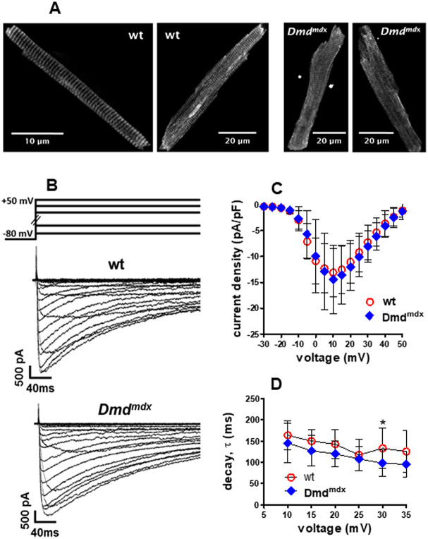 Fig. 8.