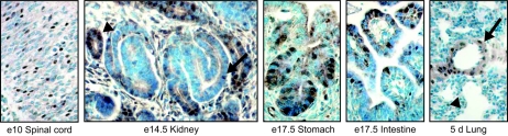 FIG. 7.