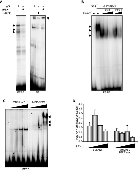 FIG. 8.