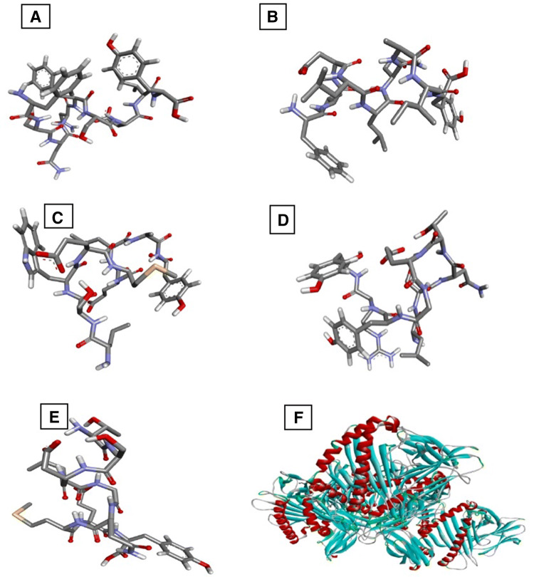 Fig. 2